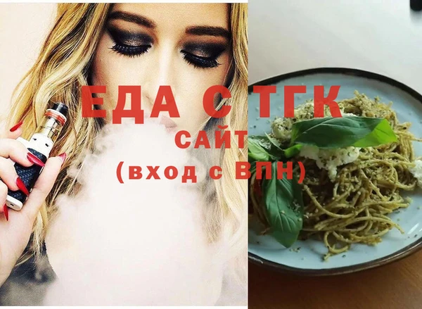 индика Галич