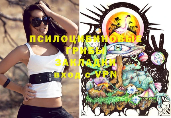 ПСИЛОЦИБИНОВЫЕ ГРИБЫ Михайловск