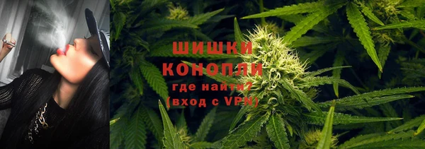 ПСИЛОЦИБИНОВЫЕ ГРИБЫ Михайловск