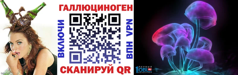 kraken ссылки  Малая Вишера  Псилоцибиновые грибы GOLDEN TEACHER 